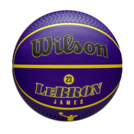 ウィルソン NBA PLAYER ICON OUTDOOR レブロン 7号